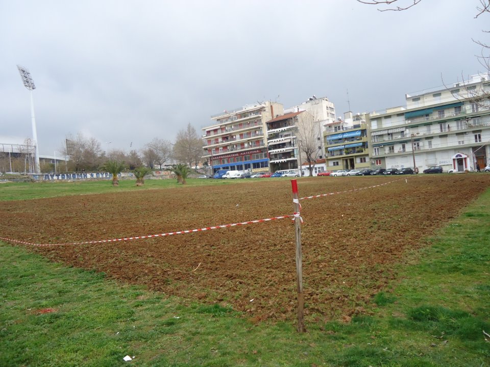 Ο πρώτος ελληνικός αστικός αμπελώνας είναι γεγονός!